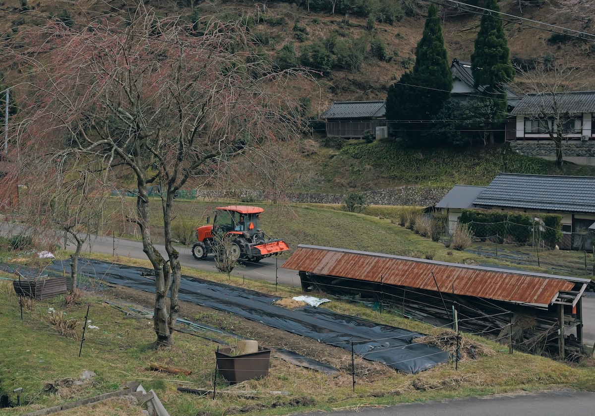 かやぶき屋根の民家が並ぶ美山の集落。